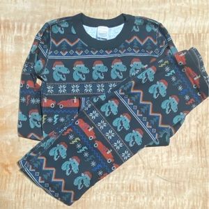 Hanna Andersson size 160cm (US size 14) Christmas dinosaur print two piece PJ’s